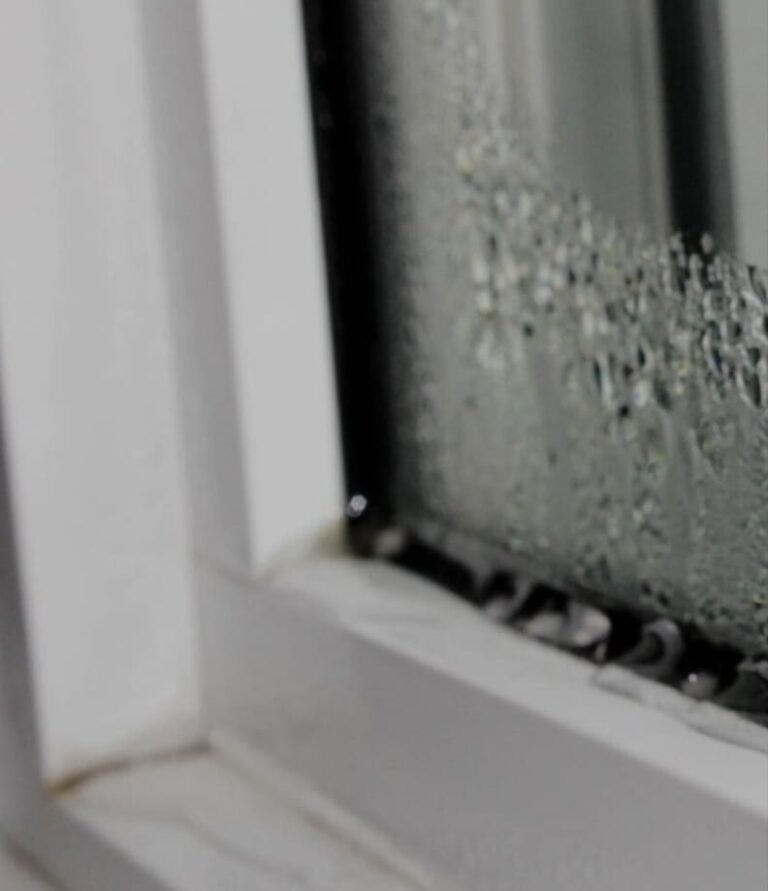 083e4998-585d-424c-98df-fe71b46cc4e5