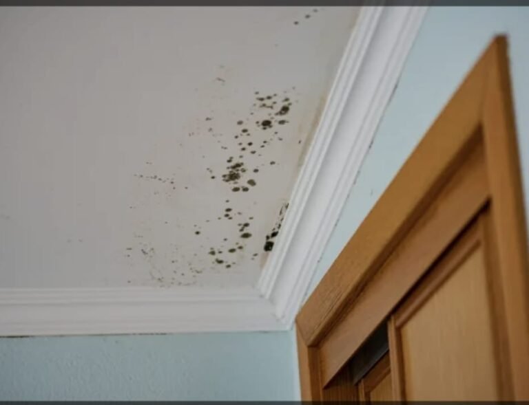 0f305a77-6704-4b66-aa31-6dd8072d86f2