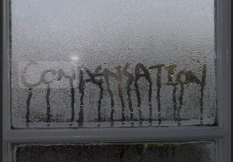 d619f6a1-e06a-4cac-9d03-e57ef36da063